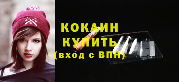 mdpv Вяземский