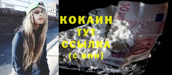mdpv Вяземский