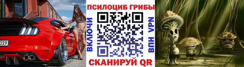 Галлюциногенные грибы Psilocybine cubensis  Купить закладки  Лихославль 
