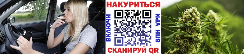 Купить где  Лихославль  Конопля сатива 